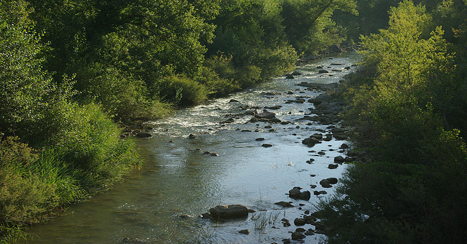 Trekking e natura nella Montagnola Senese
